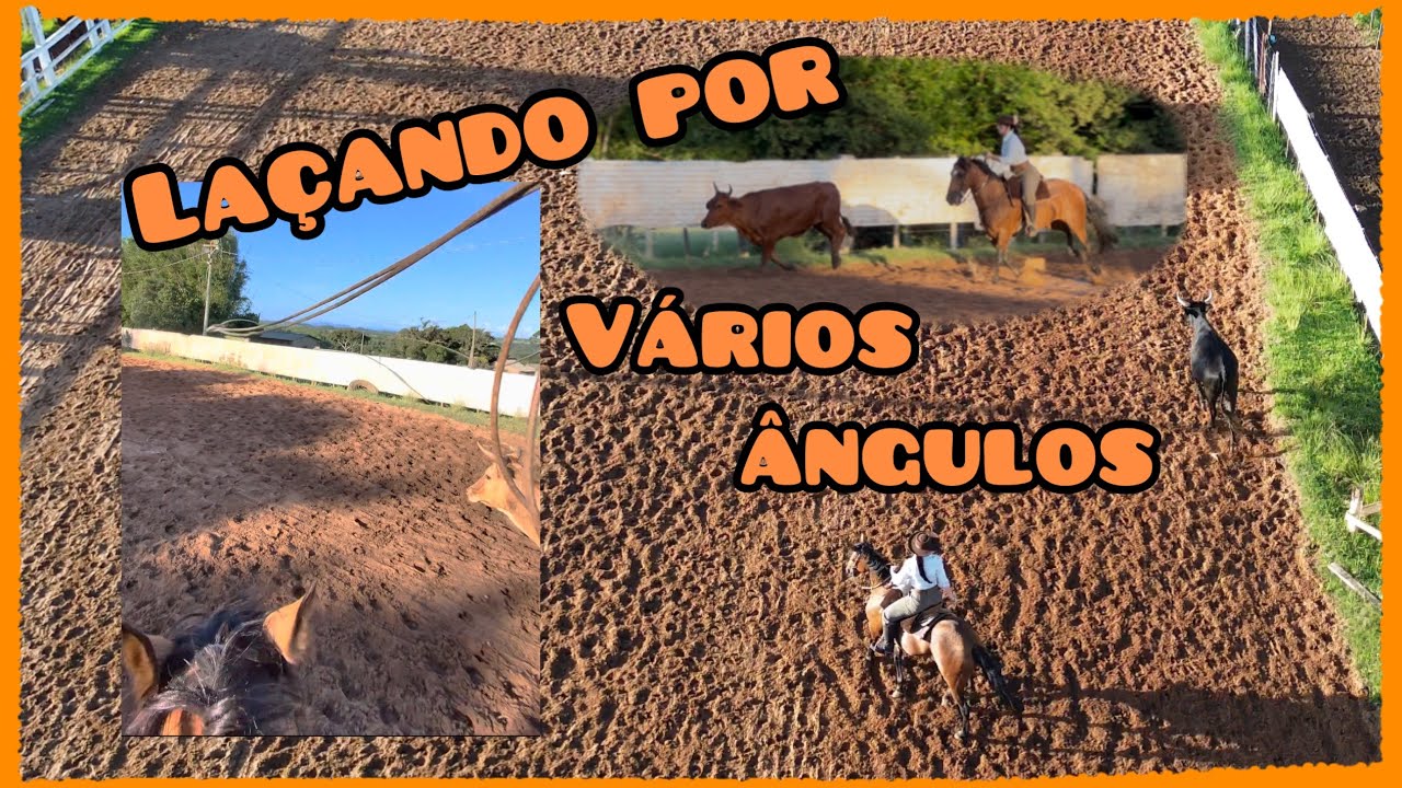 Treino de laço comprido com drone e óculos 