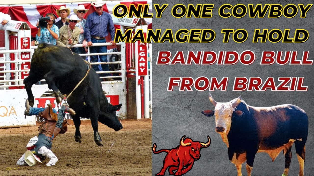 BULL THAT HAVE WRECKED THE ALL RIDERS. [TOURO BANDIDO]