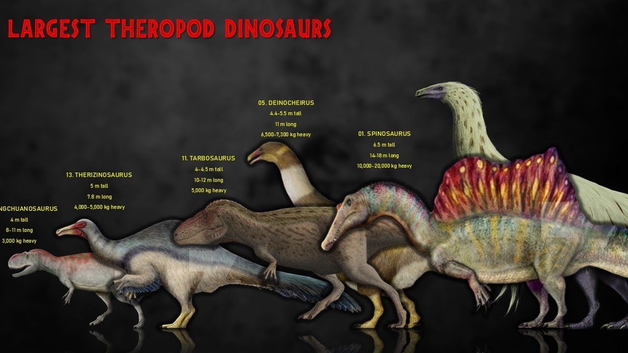 The 15 Largest Theropod Dinosaurs Ever Discovered