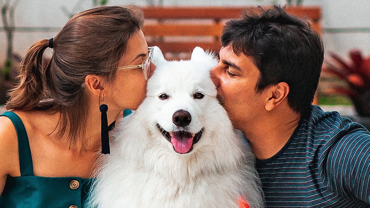 LUKE, nosso fiel companheiro de VIAGENS