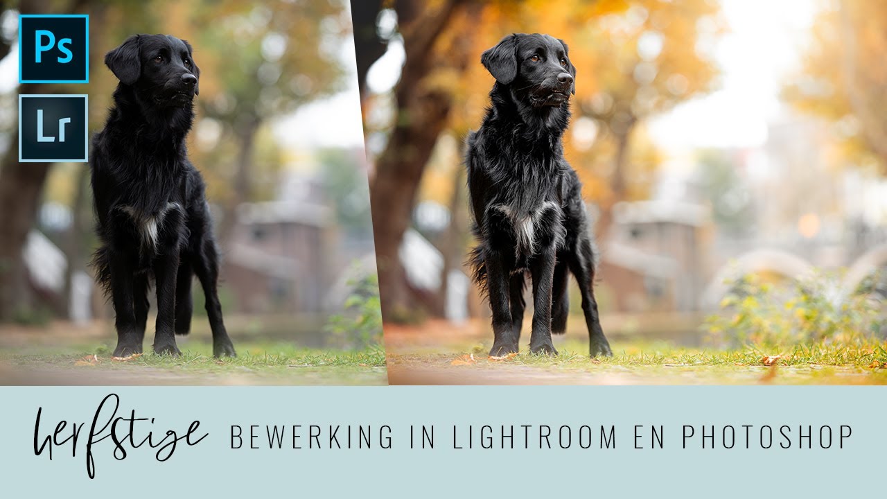 Herfst in Lightroom en Photoshop - Foto van begin tot eind