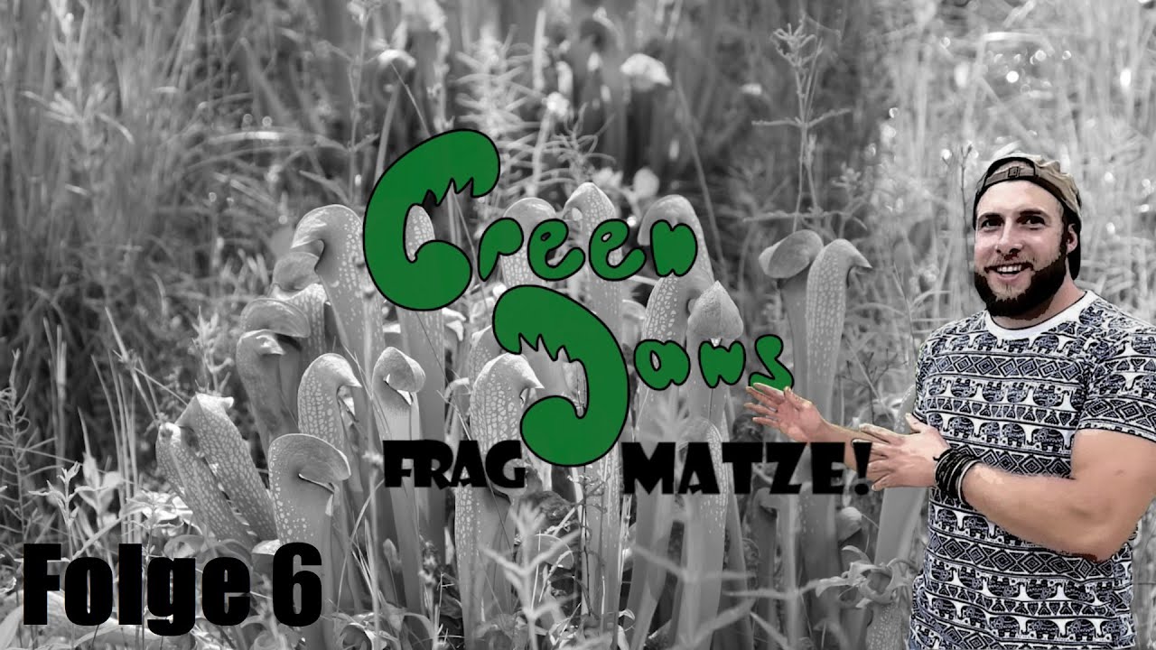 #72 Frag Matze | Kr&uuml;ge mit Wasser bef&uuml;llen, Schimmel bei Karnivoren & der richtige Bestellzeitraum