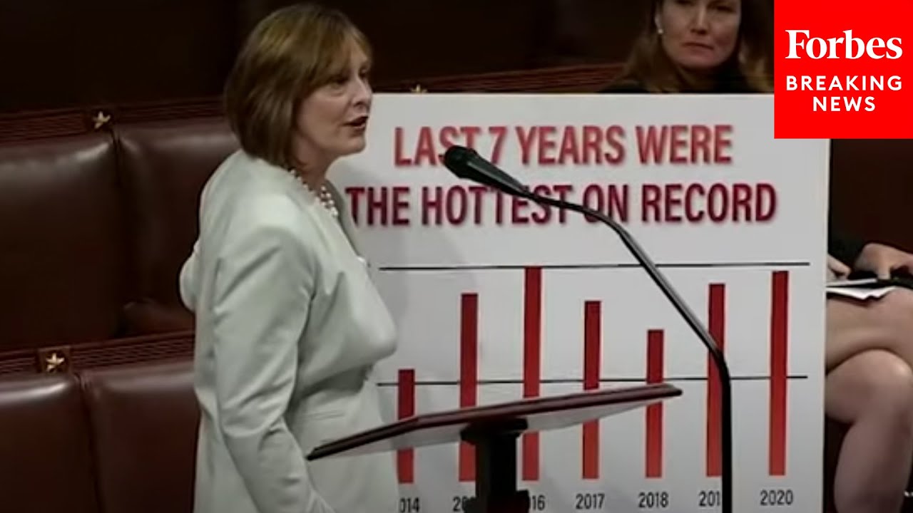Kathy Castor Says We Can Avert Worst Effects Of Climate Change And Create Millions Of Jobs