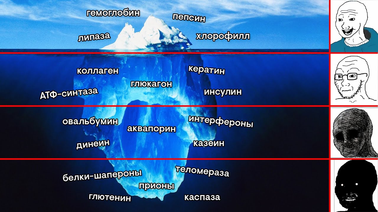 Айсберг по белкам | Биология ЕГЭ с Мишей Гис | 2026 | СМИТАП