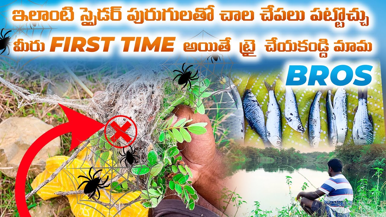ఇలాంటి స్పైడర్ పురుగులతో చాల చేపలు పట్టొచ్చు మీరు FIRST TIME అయితే ట్రై చేయకండి Dont Catch mama bros