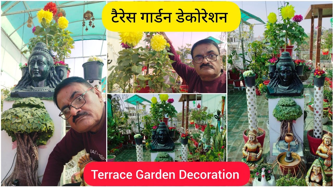 टैरेस गार्डन सुरक्षा और डेकोरेशन के 10 टिप्स। 10 Useful Tips For Terrace Garden Decoration & Safety.