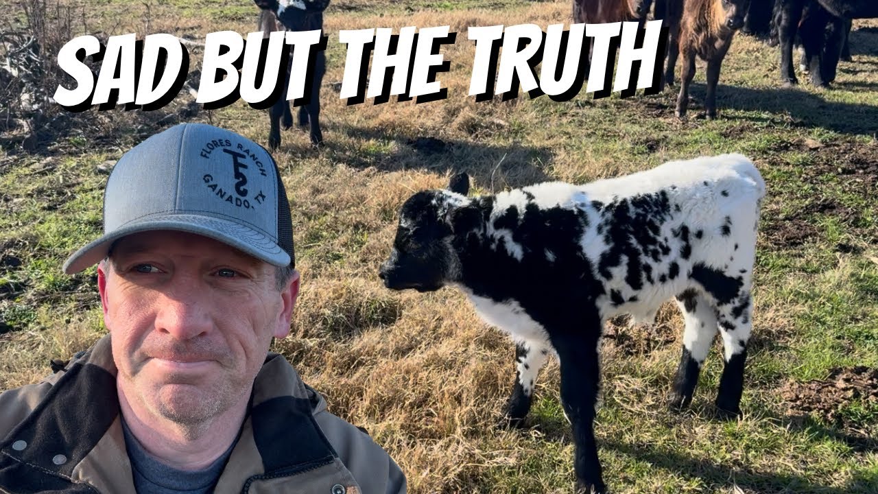 ЭТО ШОКИРУЕТ НЕКОТОРЫХ ИЗ ВАС