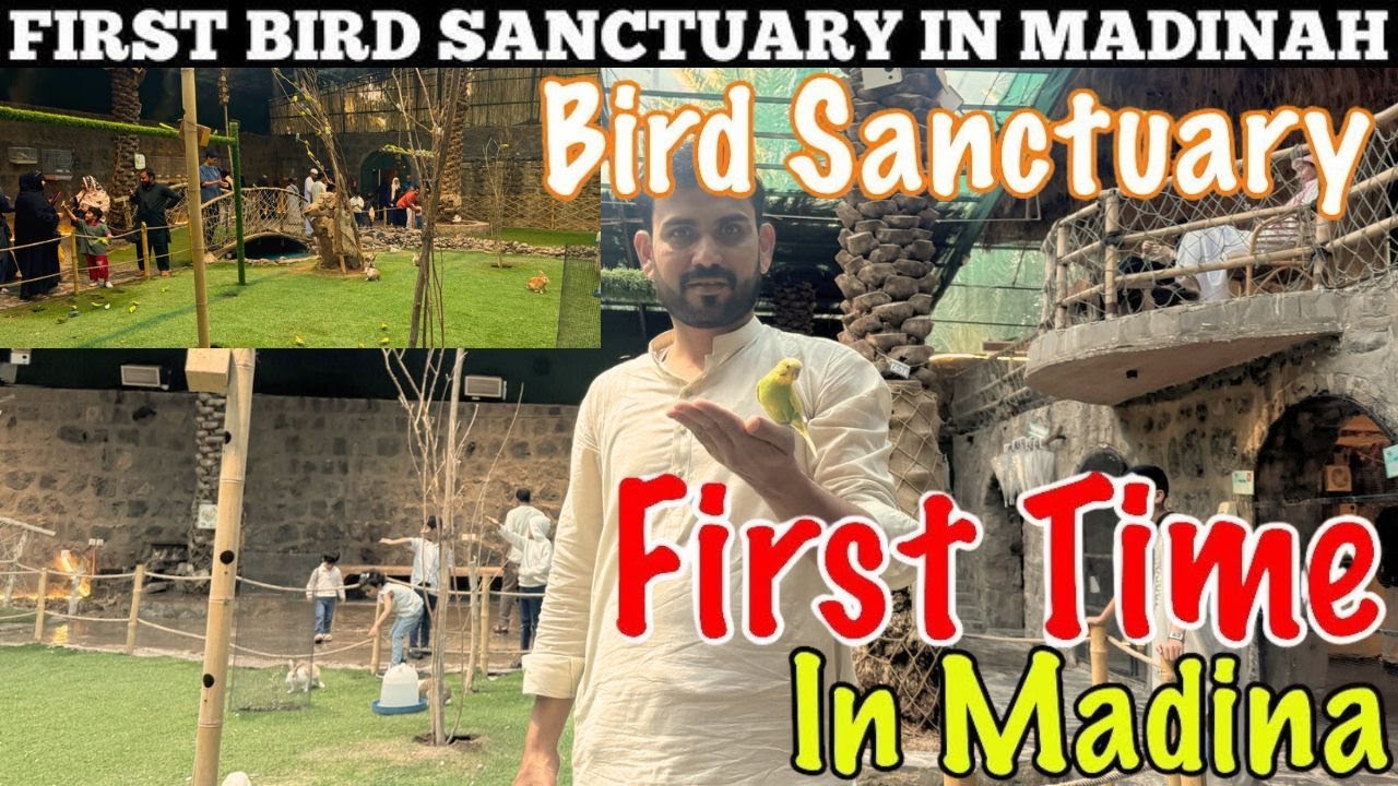This Park Has Unique Experience & Full Enjoyment |Artificial Rain Experience Birds & Parrots Madina