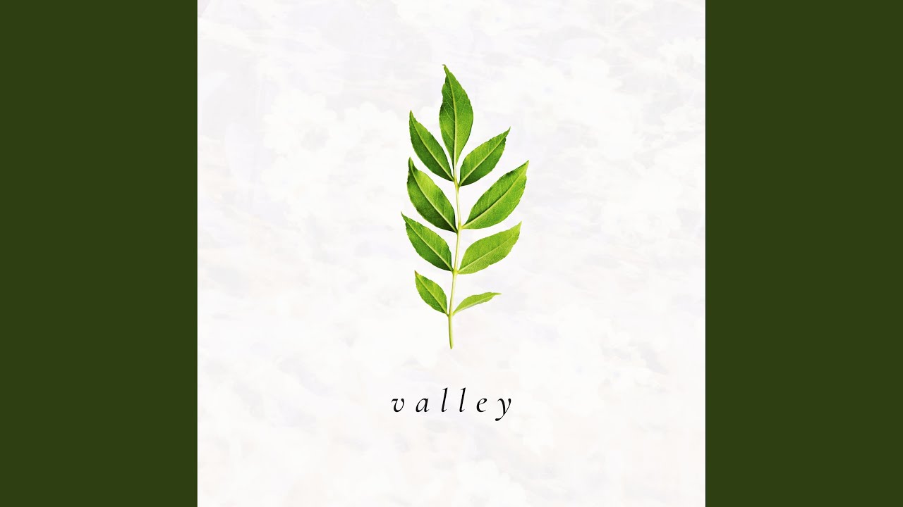 Valley