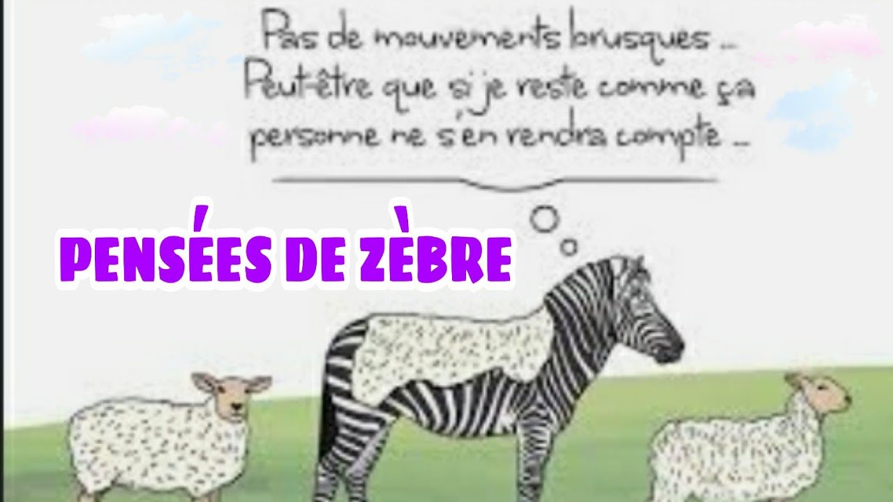 CE QUE LE ZÈBRE RECHERCHE CHEZ LE PERVERS NARCISSIQUE