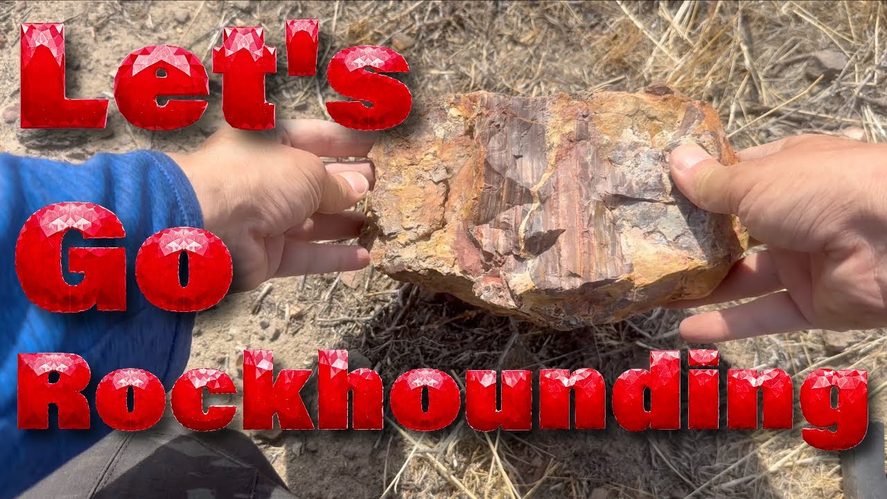 Rockhounding in Northern Nevada! Finding Wonderstone, Lahontan Jasper, Breccias, and More! ⛏️🪨🏜️