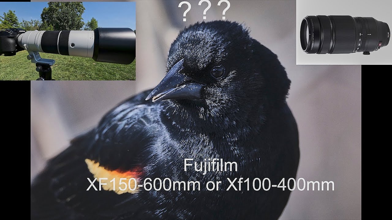 Fujifilm XF 150-600mm and the XF100-400mm: a comparative look; which would I by first!!!
