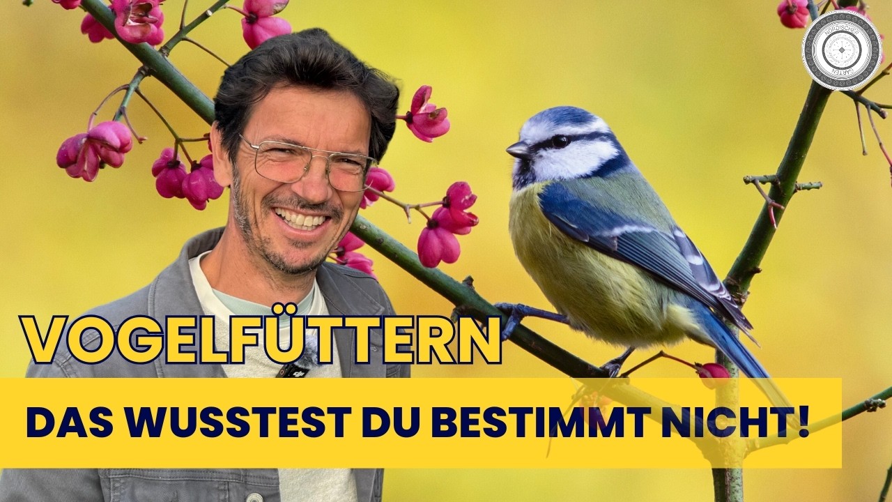 DARUM brauchenV&Ouml;GEL Wildgeh&ouml;lze - hier erf&auml;hrst du mehr und was auch du tun kannst