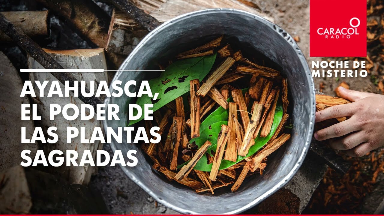 Noche de Misterio | Ayahuasca, el poder de las plantas sagradas