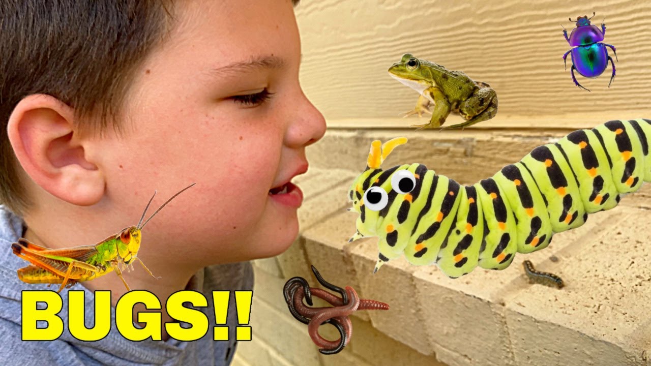 Caleb and MOMMY BUG HUNT & LOOK for FROGS in the BACKYARD OUTSIDE!