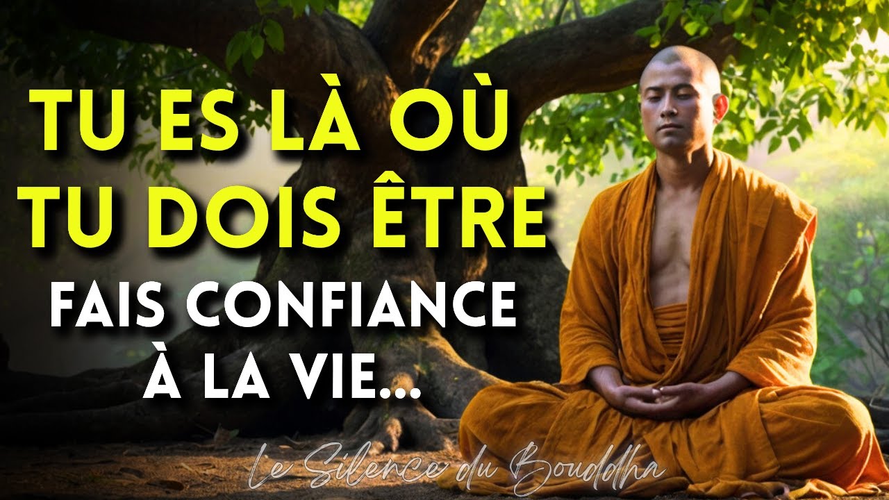 Bouddhisme Aujourd’hui | Transforme ta vie avec la Pleine Conscience