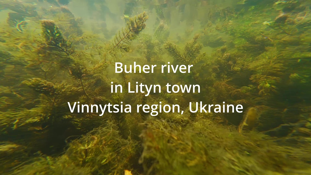 Buher river in Lityn, Ukraine (super scientific video :) )