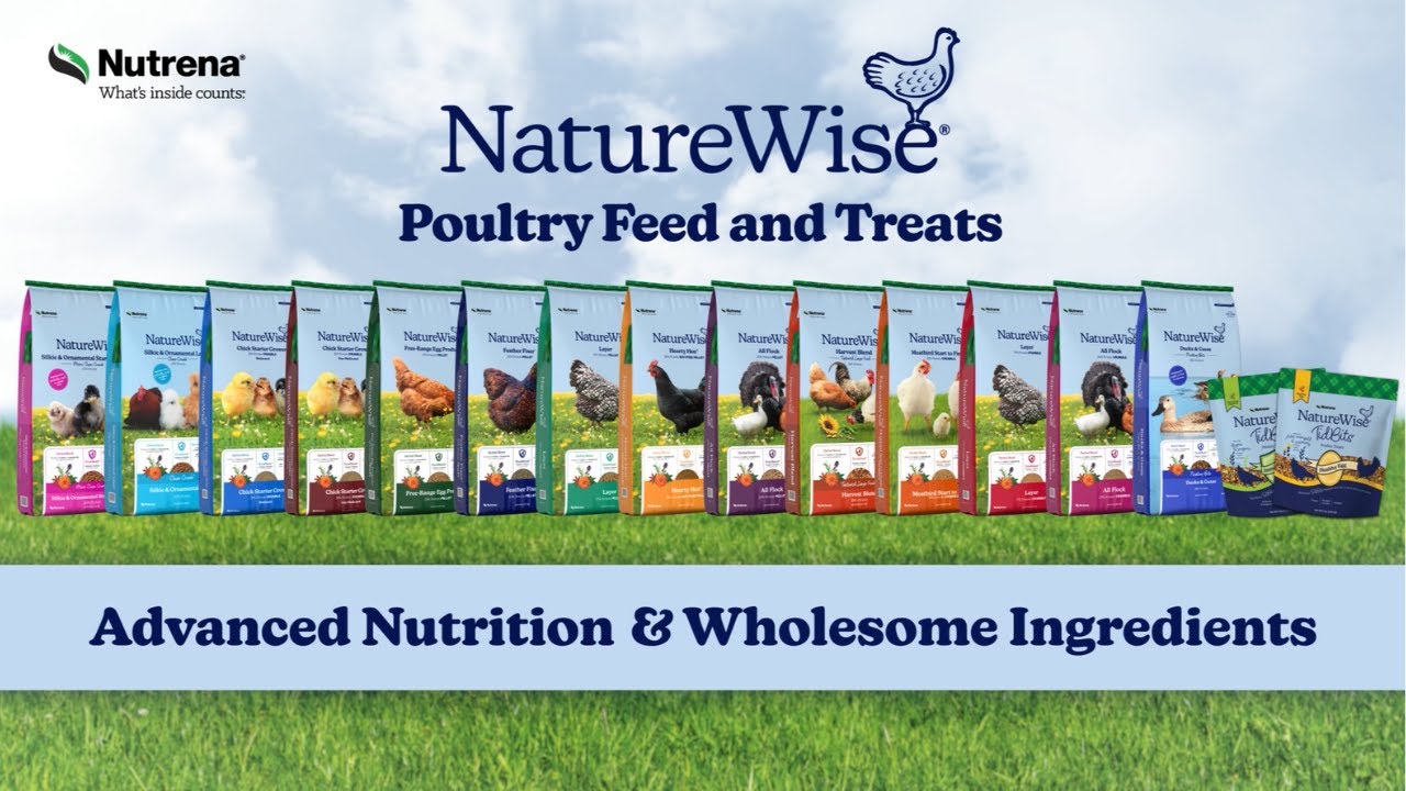 NatureWise&reg; Poultry Feed by Nutrena&reg; | Nutrition You Can Trust