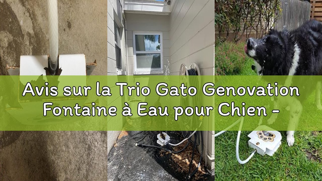 Avis sur la Trio Gato Genovation Fontaine à Eau pour Chien - Facile à activer