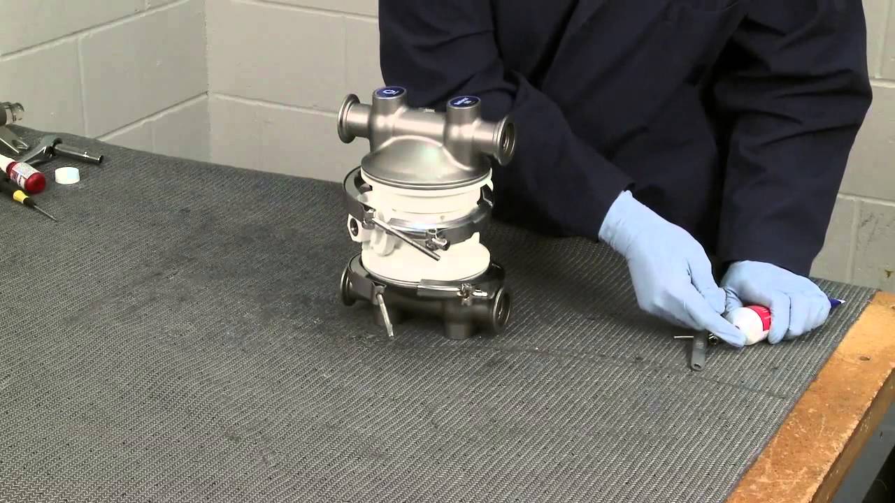Graco SaniForce 515 Standard Diaphragm Assembly