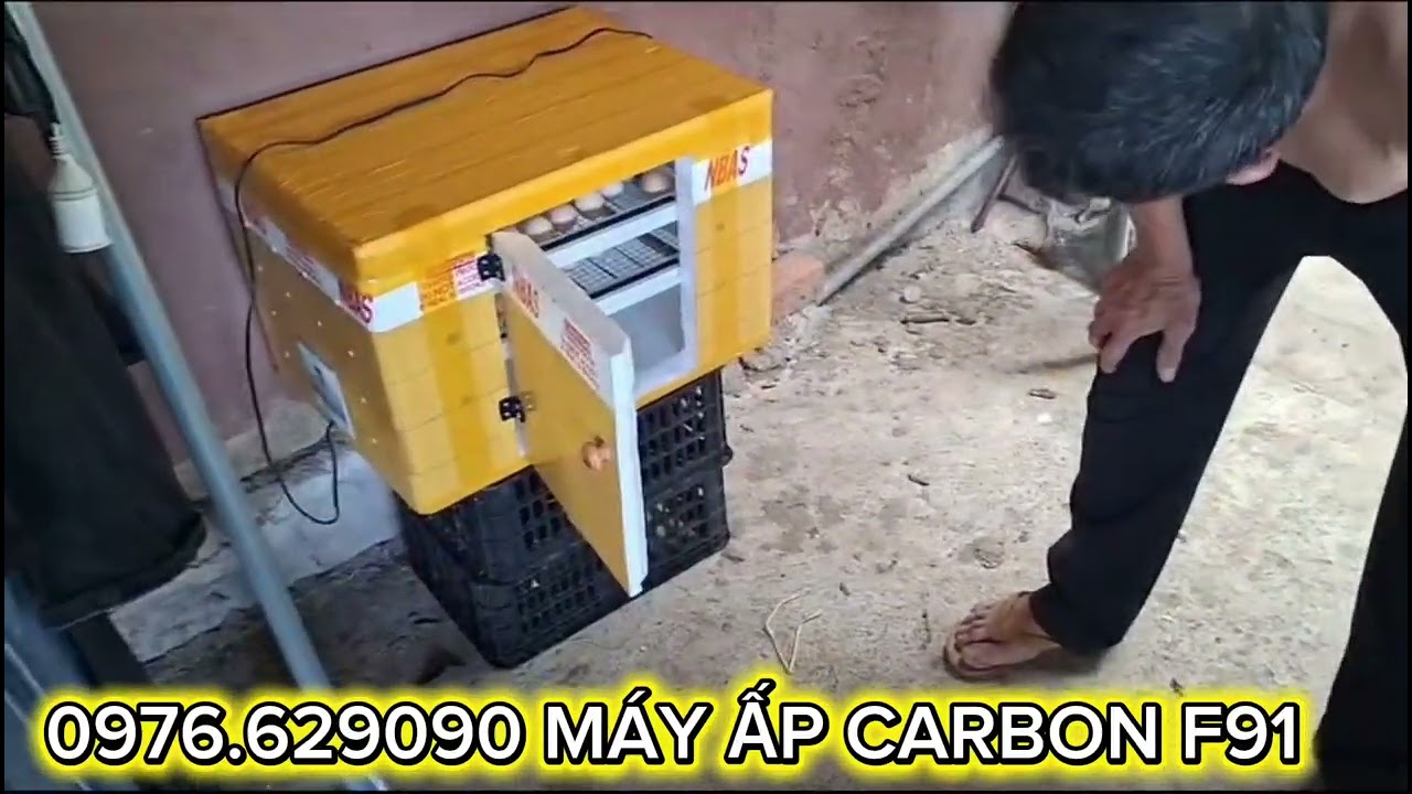 0976.629090MÁY ẤP CARBON F91 ĐI GIAO VÀ HỖ TRỢ ẤP TRỨNG TẠI NHÀ CÙNG BÀ CON  NHIỆT TÌNH 2026