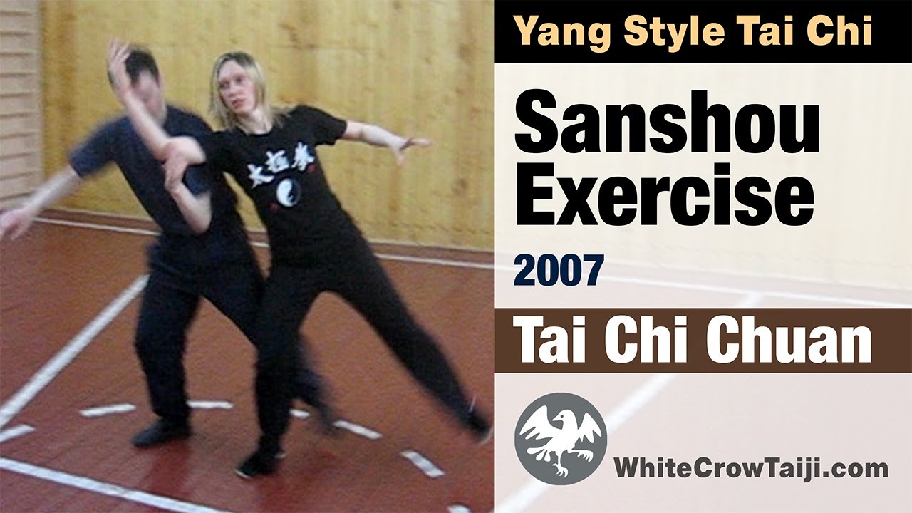 Sanshou Exercise. Yang Style Tai Chi (Taijiquan)