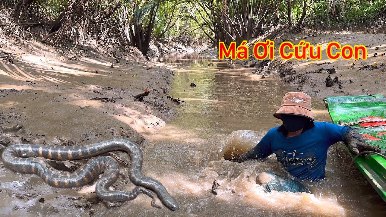 Vợ La Làng Đụng Nhầm Con Rắn Độc Cực Kỳ Nguy Hiểm | Thử Thách Trong Rừng Tìm Kiếm Thức Ăn