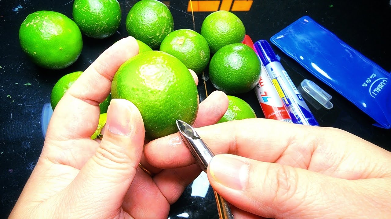 CẮT CHANH CHO NGƯỜI MỚI HỌC NAILS ( BASIC LEMON CUTTING LESSON FOR BEGINNERS)