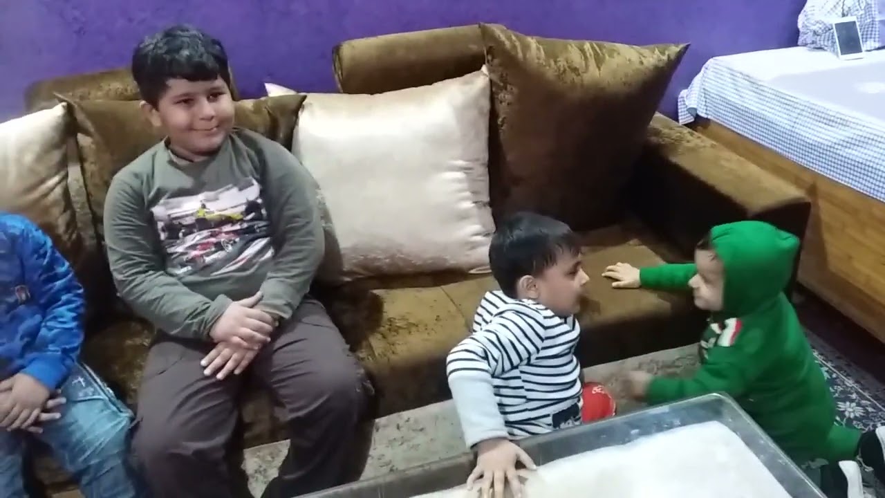 Cousins fight
