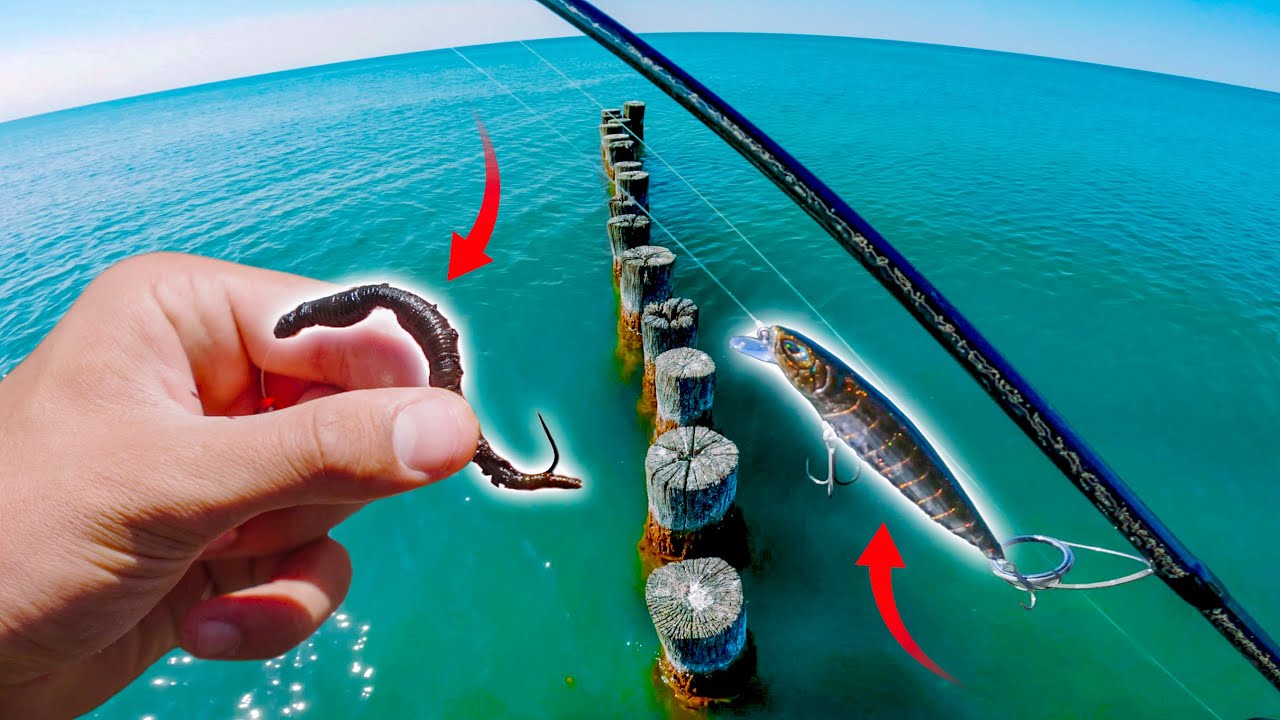 Натуральная наживка против искусственной - на морскую форель и камбалу! (русские субтитры)