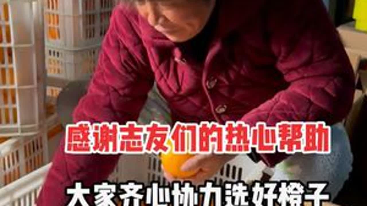 兄弟姐妹好.皮衣哥一定把最好的无公害橙子.发给你们..谢谢.