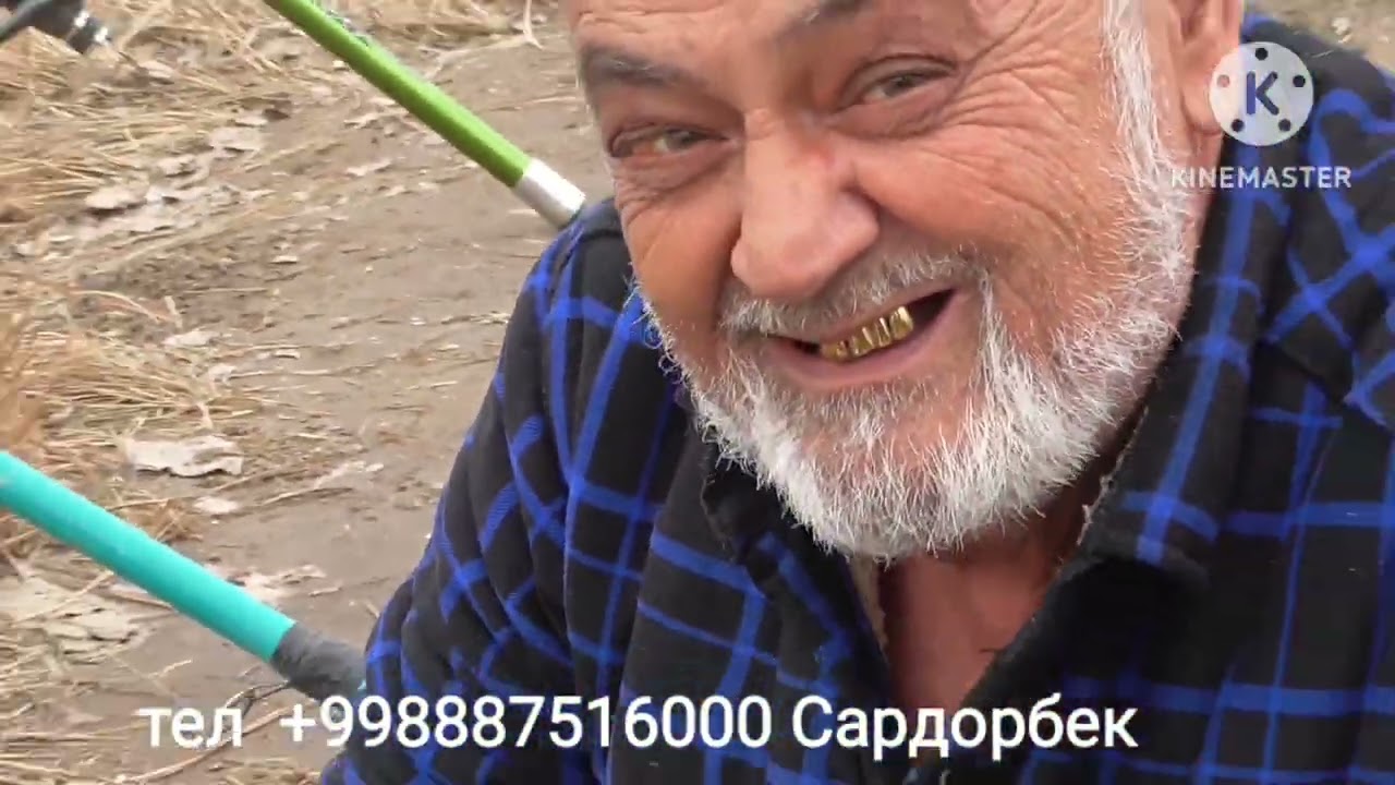 Найман кулидан киска видео