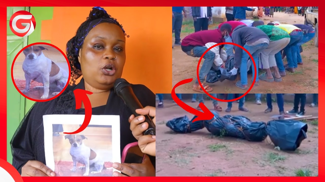 🔴#Live:SIMANZI! BINTI ABAKWA NA KUTOBOLEWA MACHO-MBWA ATOWEKA KUSIKOJULIKANA,ATAKAEMPATA KUNA ZAWADI