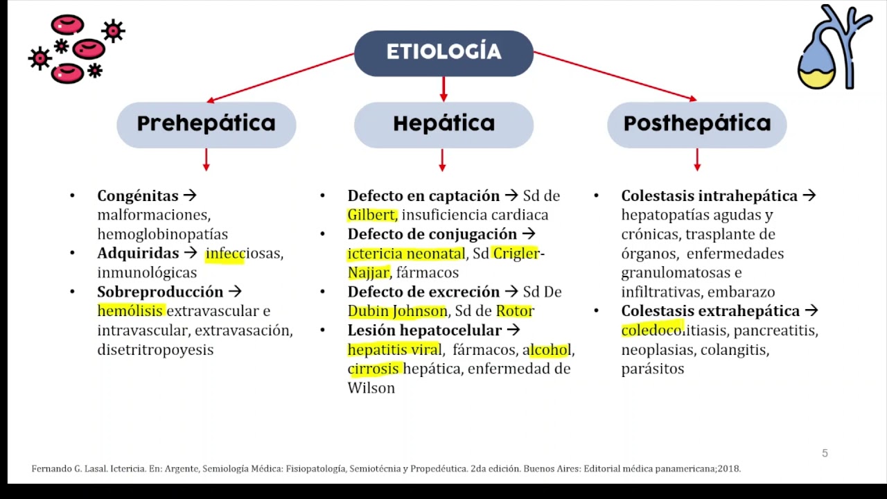 ICTERICIA - SOCEMURP