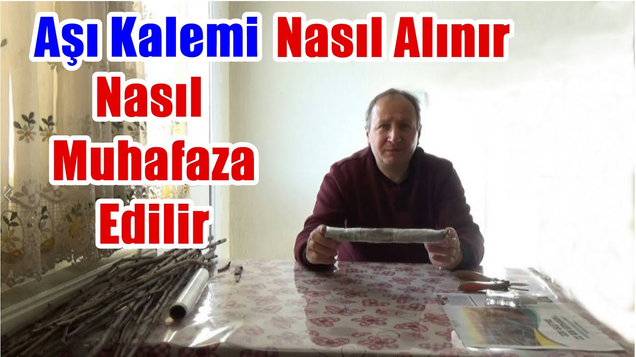 Aşı kalemi nasıl alınır - Aşı kalemi nasıl muhafaza edilir - Aşı kalemi nerede nasıl saklanır