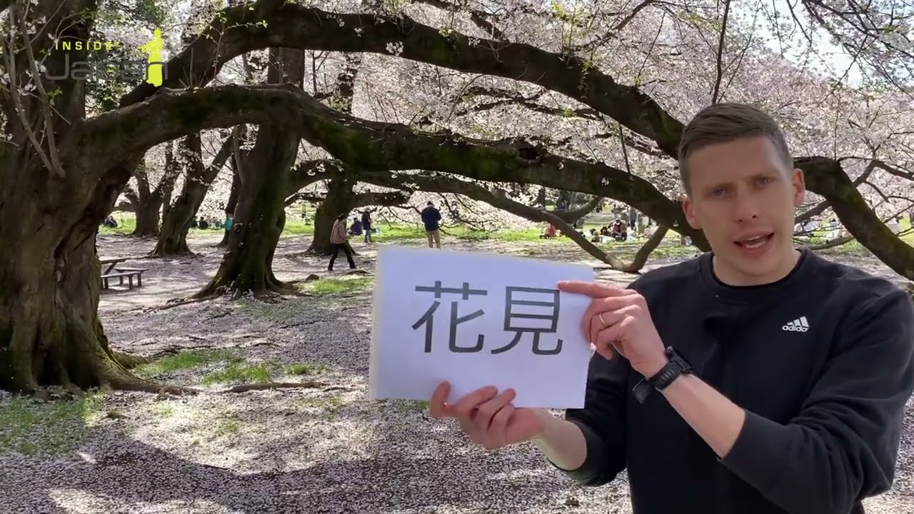Japan in bloom – Cherry blossom live