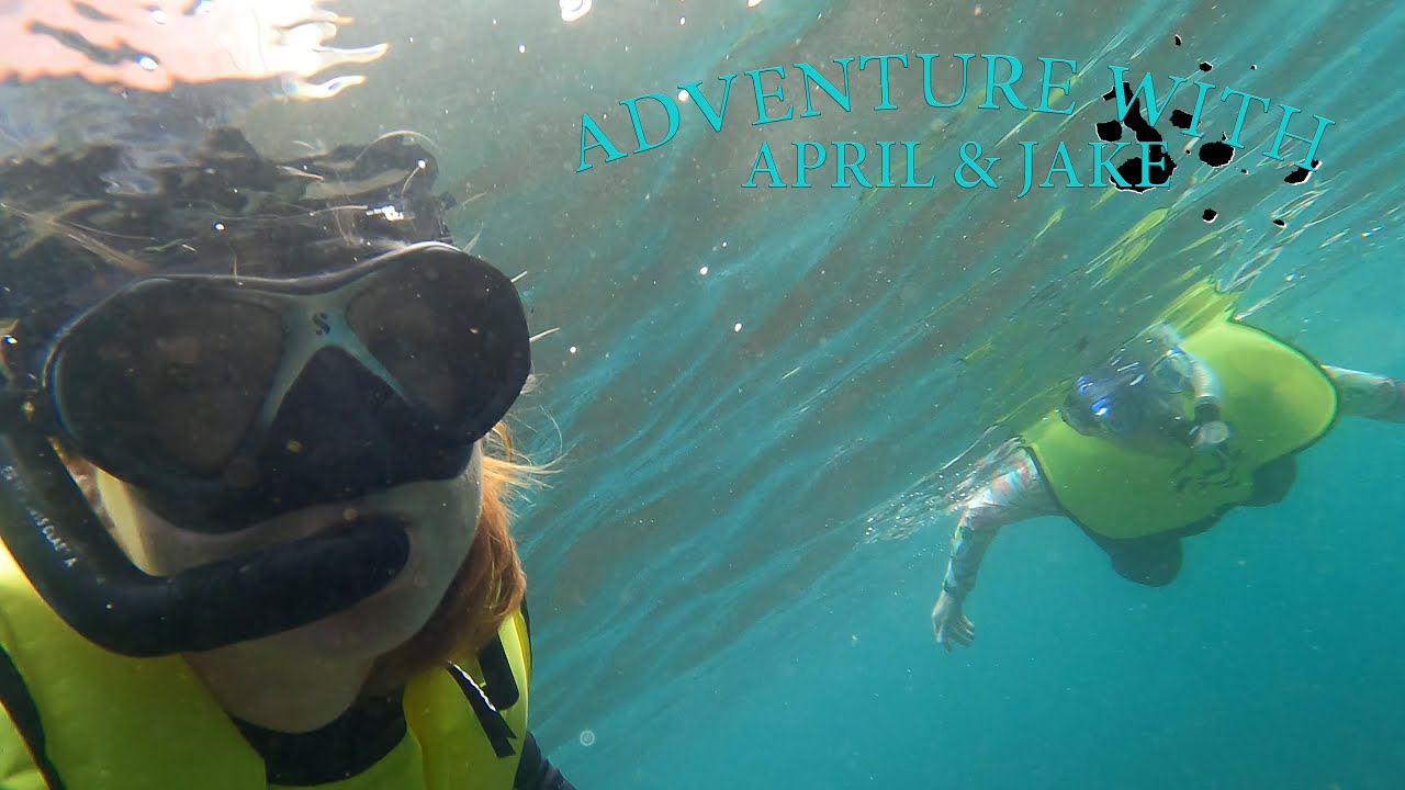 April Goes to The Galapagos - Part 2 | North Seymour & Rabida Beach