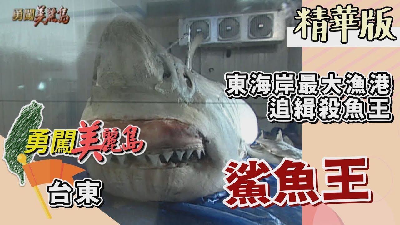 【勇闖美麗島】 東海岸最大漁港 追緝鯊魚王（定置網捕撈魚獲／拍賣大鯊魚／1400公斤 超級大白鯊）│2001.01.17│ 30集精華版