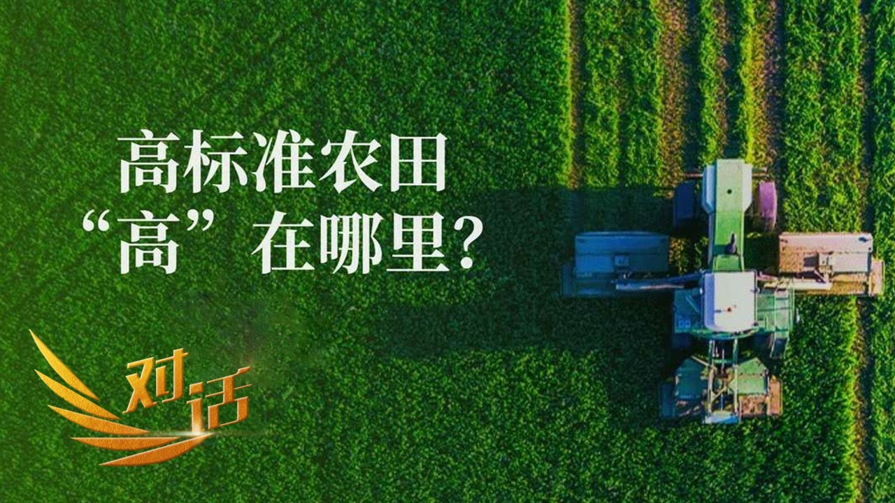 专家种田，现代农机收割，高标准农田