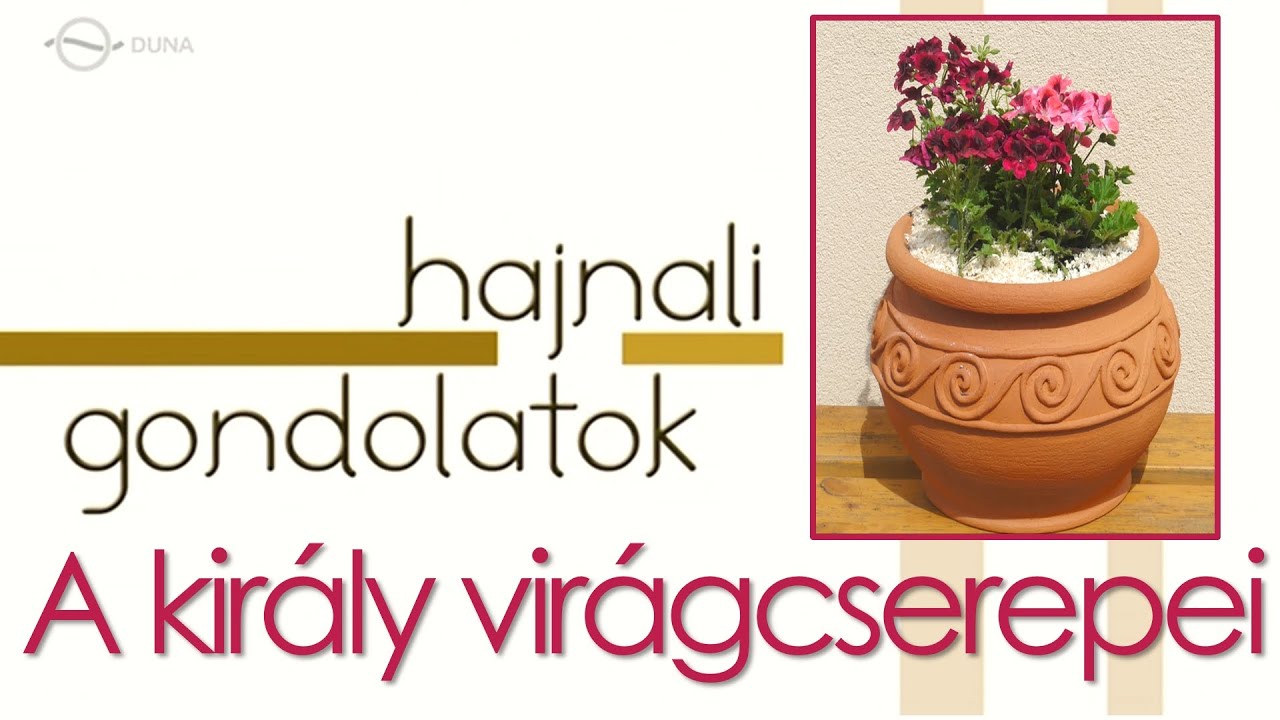 Hajnali gondolatok – Az engedelmességről / Blázy Márti (MTV: DUNA – 2017)