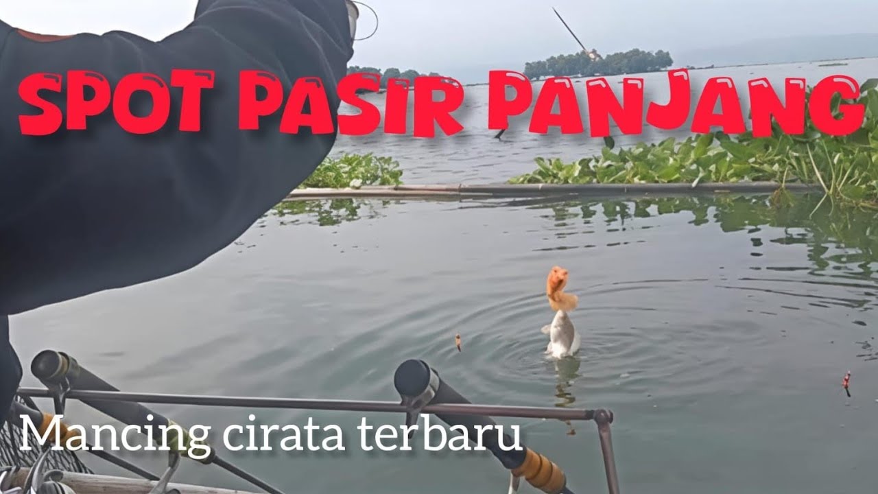 TERBARU‼️Dermaga servis jati luhur Ketika sedang asik mancing malah ada yang menjala di depan rakit