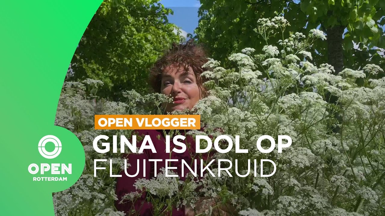 Gina gaat op zoek naar fluitenkruid | OPEN Vlogger