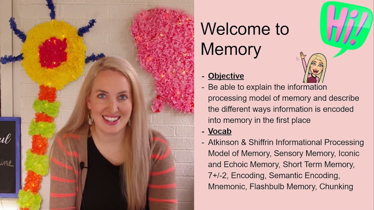 Information Processing Model of Memory