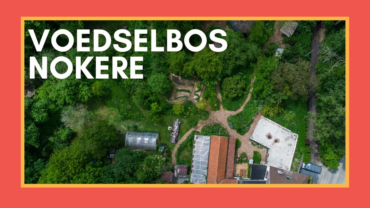 Eten uit het Bos - Voedselbos Nokere  (lente 2021)