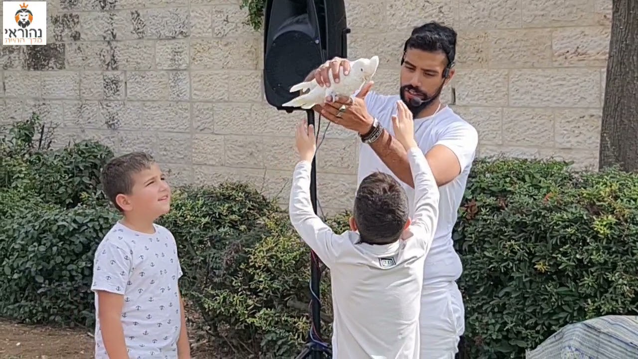 ירין ונתנאל חוגגים 8 - נהוראי מלך החיות 🦁