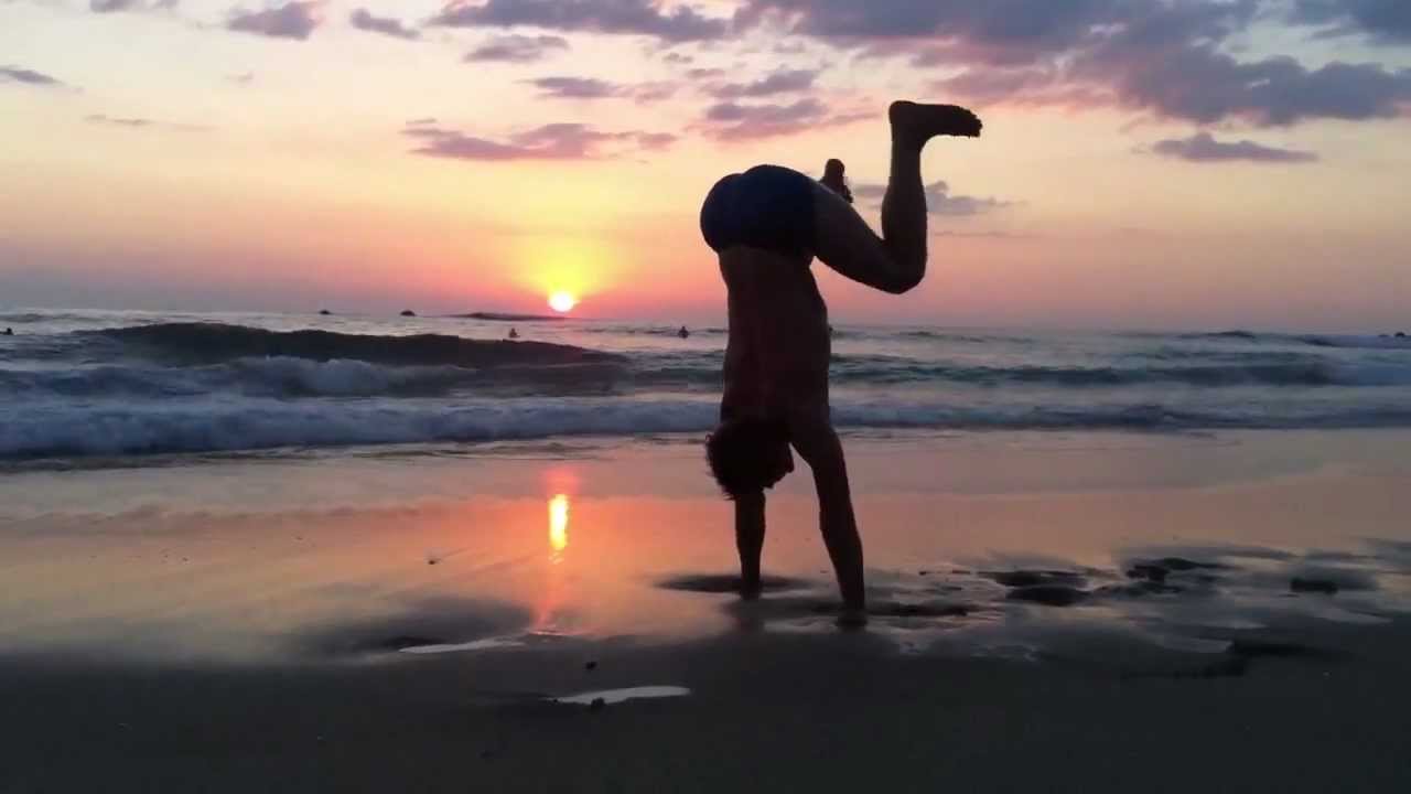 Yoga animals at the beach
