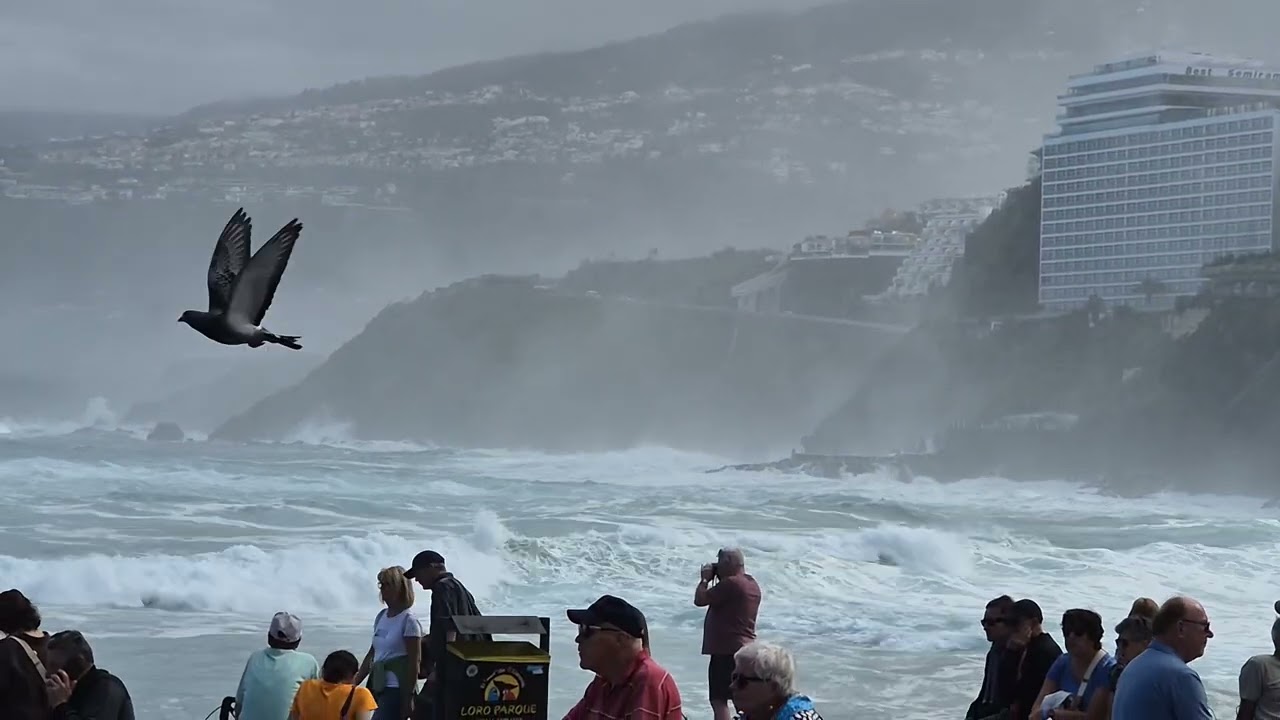 20260128 121635 TENERIFE COSTA  SANTA CRUZ SULF 2026