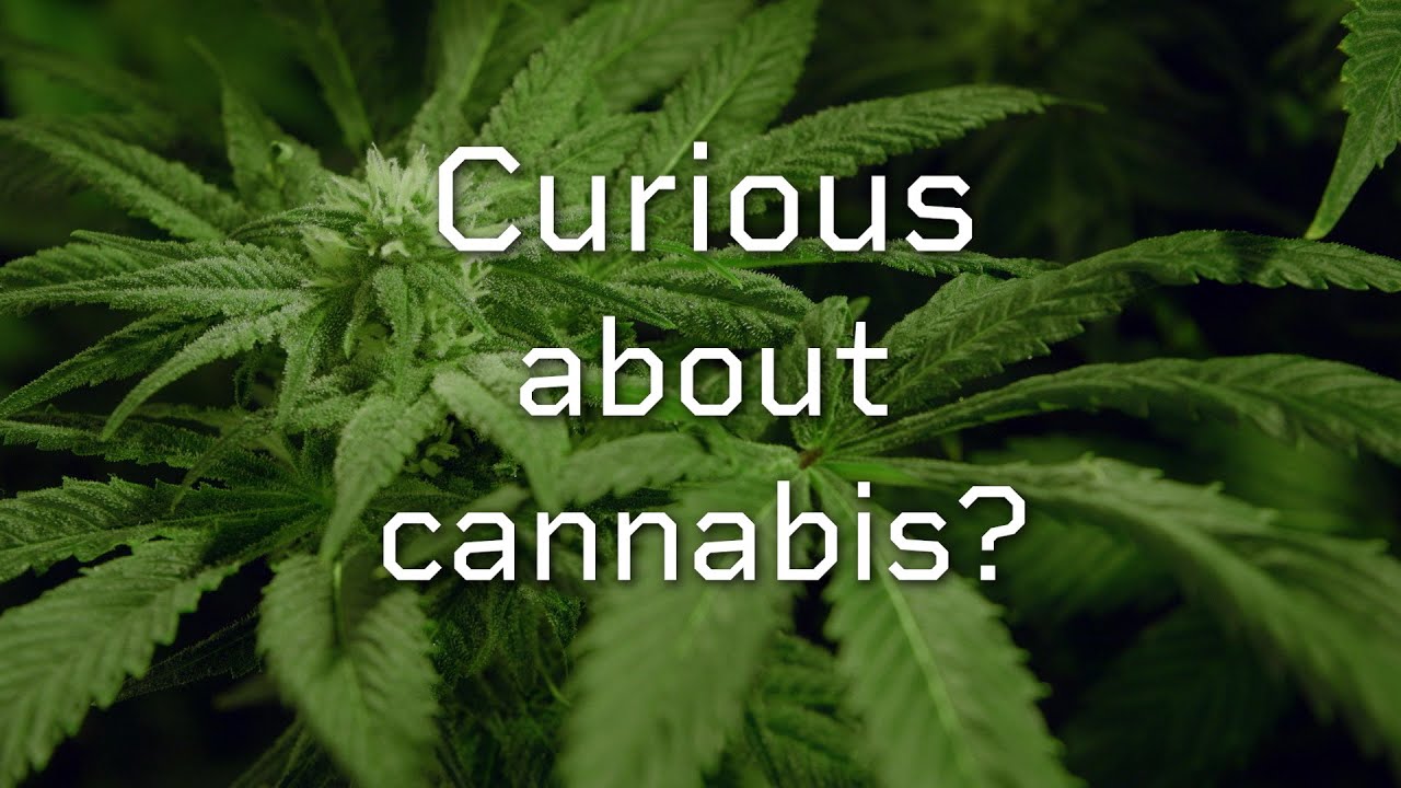 MYTH-BUSTING documentary 