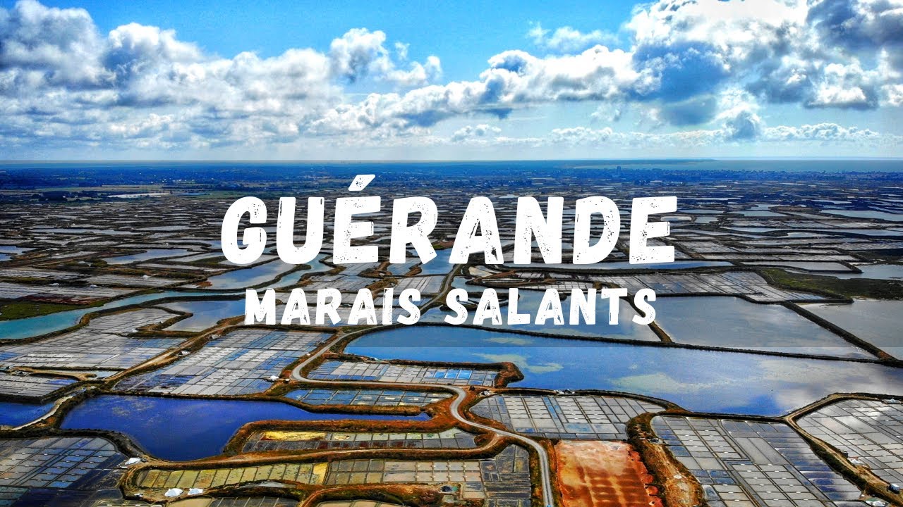 GUERANDE Marais salants, France | 4K Drone