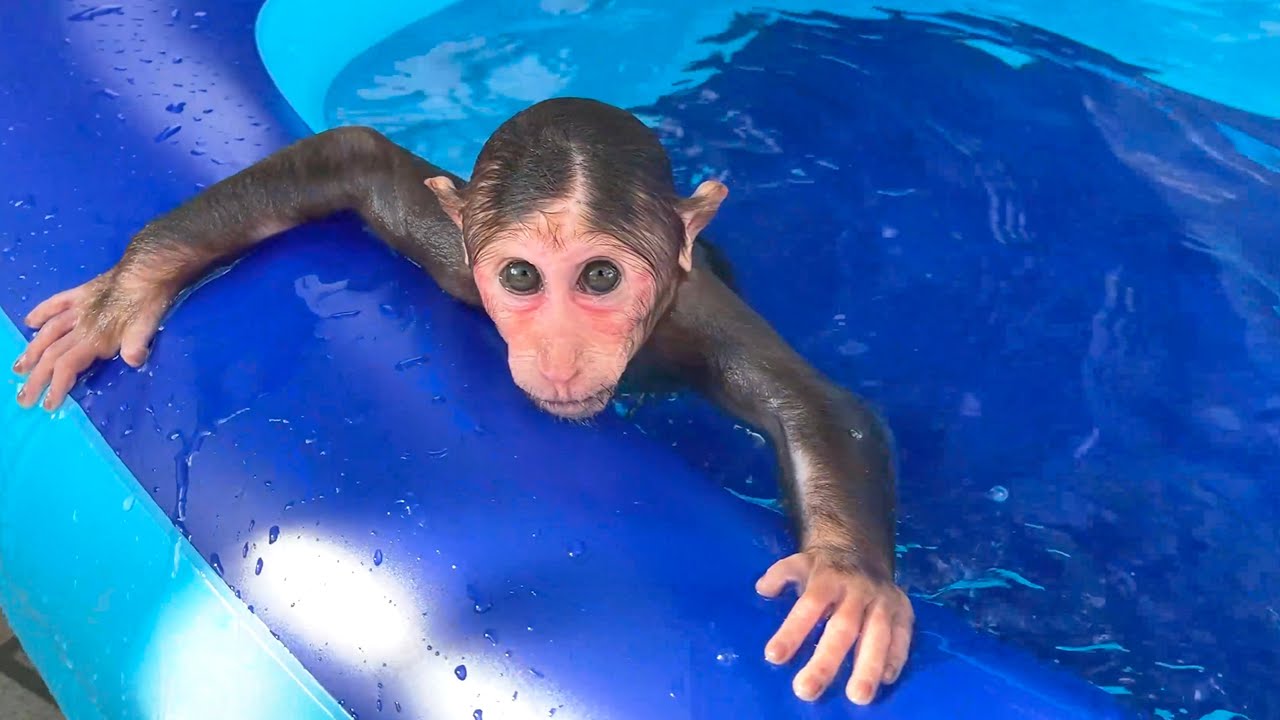 So Touching! Dad Is Happily Surprised When CUBIS Secretly Learns to Swim